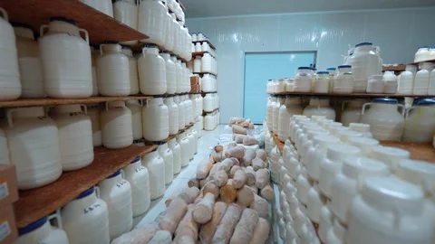 Cheese Maturation Process Stock Footage 303582537