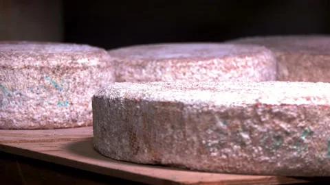 The cheese is maturing Stock Footage 170957460