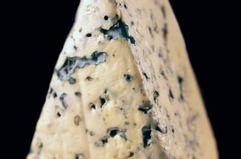 Cheese with mold Stock Photos