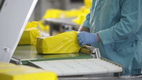 Cheese packaging process. Close up of cheese processing at food factory. Cheese Stock Footage 106151420