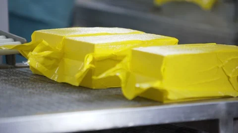 Cheese packaging process. Close up of cheese processing at food factory. Cheese Stock Footage 106151531