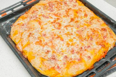 Cheese pizza 写真素材