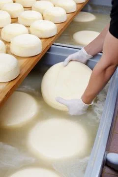 Cheese process Stock Photos