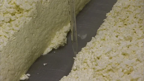 Cheese processing with a measuring tool Stock Footage 86249493