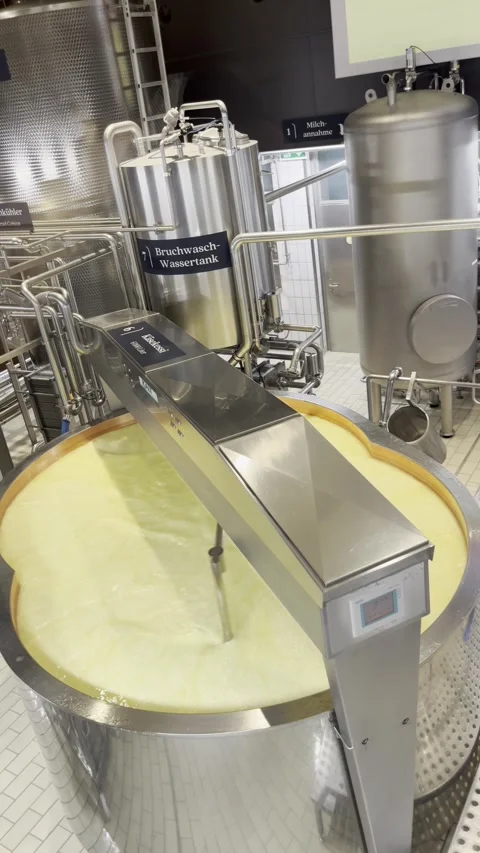 Cheese production: automatic stirrer in motion Stockbeeldmateriaal 306066325