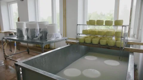 Cheese production in a dairy processing facility Vídeos de archivo 308148904