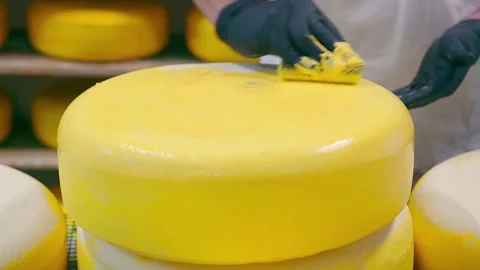 Cheese production factory Cheese Packaging Process. Close Up Of Cheese being Vídeos de archivo 336444397