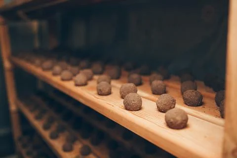 Cheese production Stock Photos