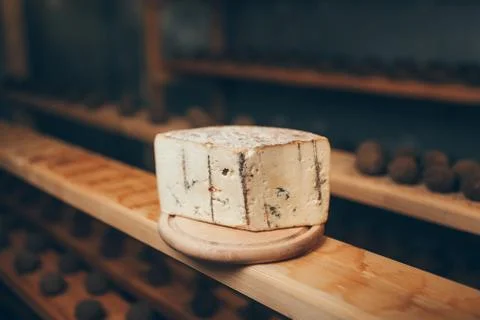 Cheese production Stock Photos