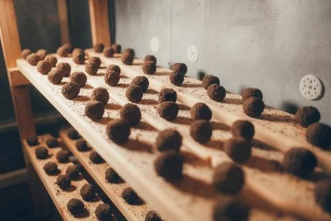 Cheese production Stock Photos