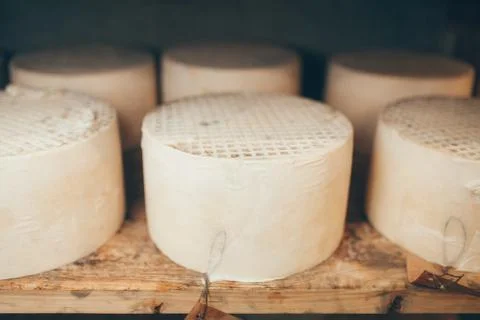 Cheese production Stock Photos