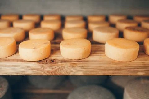 Cheese production Stock Photos