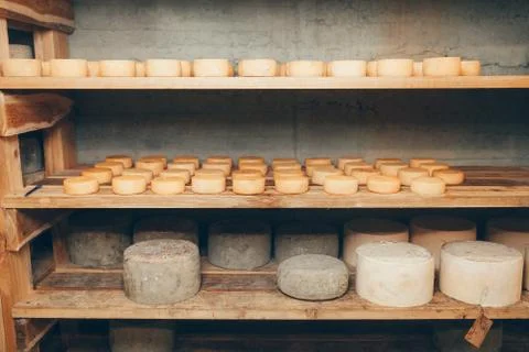 Cheese production Stock Photos