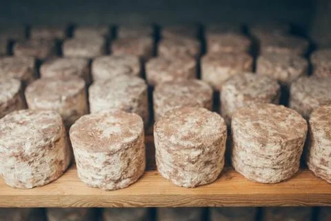 Cheese production Stock Photos