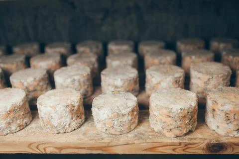 Cheese production Foto stock