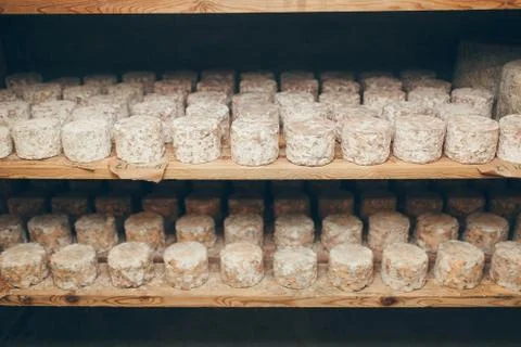 Cheese production Foto stock