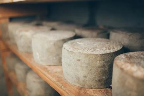 Cheese production Stock Photos