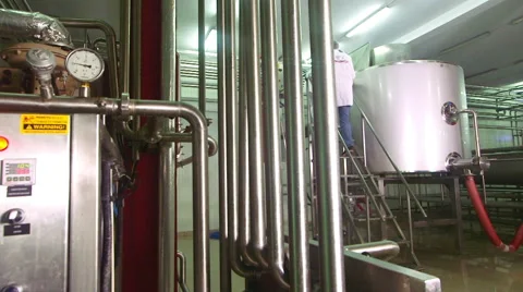 Cheese production plant Stock Footage 62909402