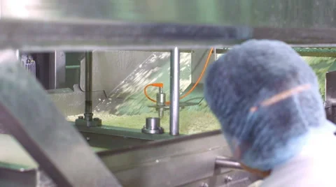 Cheese production plant Stock Footage 62909421