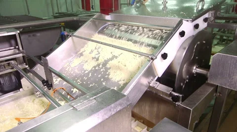 Cheese production plant Stock Footage 62909445