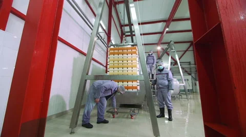 Cheese production plant Stock Footage 62909484