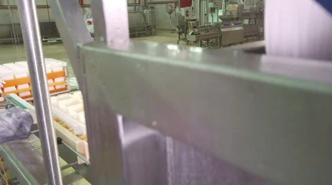 Cheese production plant Stock Footage 62909505