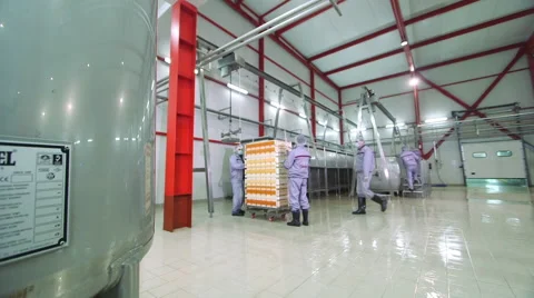 Cheese production plant Stock Footage 62909571