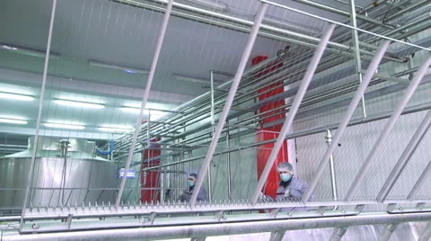 Cheese production plant Stock Footage 62909658