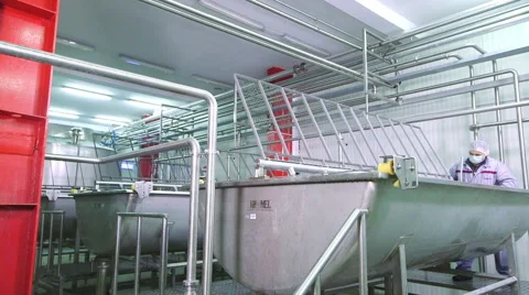 Cheese production plant Stock Footage 62910067