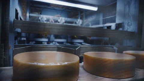 Cheese production process, wheels moving... | Stock Video | Pond5