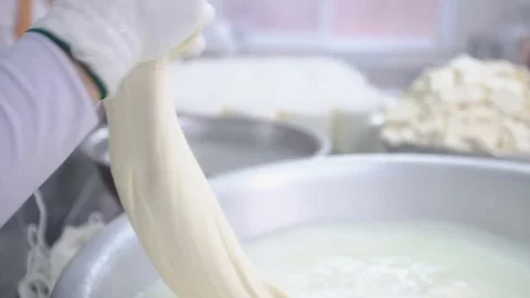 Cheese production. pulling technology Stock-Footage 75125008