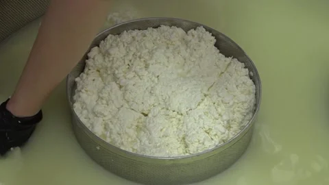Cheese production at a small factory. different types of cheese. eco product. Stock Footage