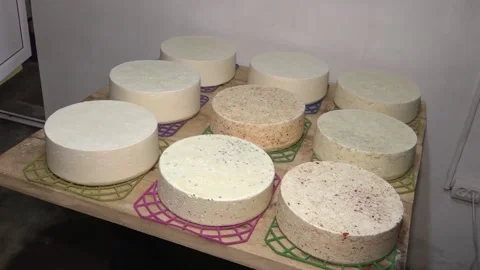 Cheese production at a small factory. different types of cheese. eco product. 스톡 동영상 134168656