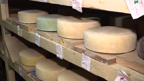 Cheese production at a small factory. different types of cheese. eco product. 스톡 동영상 134168708