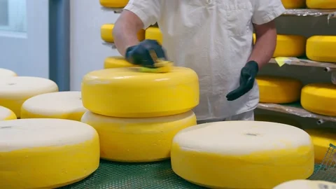 Cheese production. The worker covers the cheese with wax. Cheese factory Stock Footage 140351013