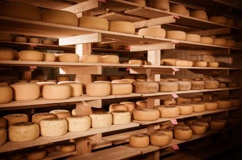 Cheese refining on shelves Stock Photos