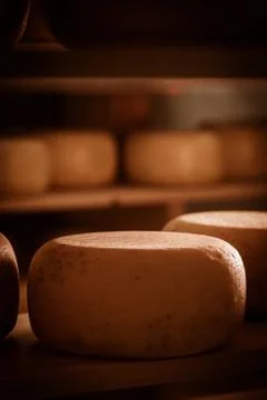 Cheese refining on shelves Foto stock