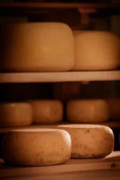 Cheese refining on shelves Stock Photos
