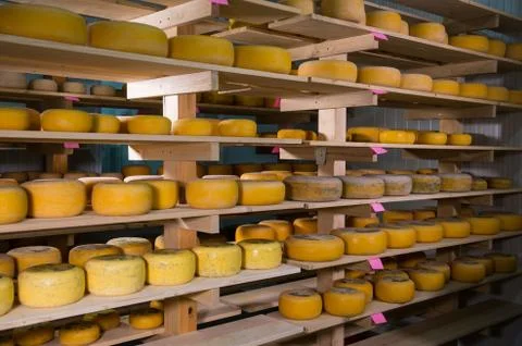 Cheese refining on shelves 스톡 사진