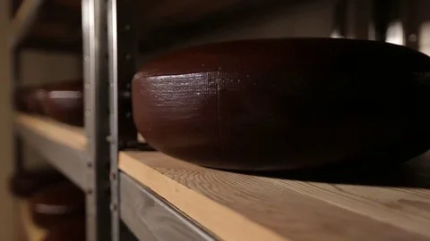 Cheese ripening room Stock Footage 73779839
