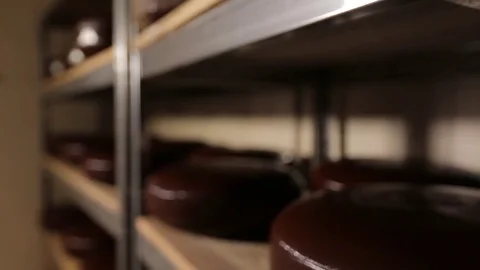 Cheese ripening room Stock Footage 73780066