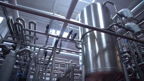 Cheese Rolls Factory Stock Footage 69102548