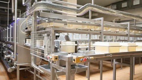 Cheese Rolls Factory Stock Footage 85755907