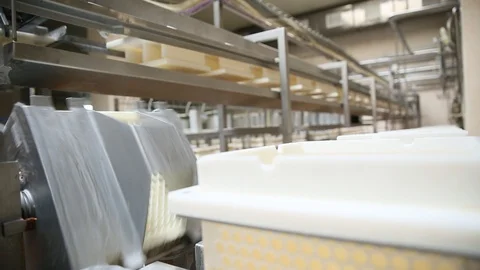 Cheese Rolls Factory Stock Footage 85755918