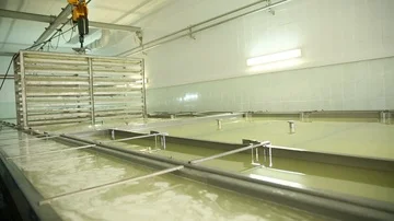 Cheese Rolls Factory Stock Footage 85755940
