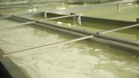 Cheese Rolls Factory Stock Footage 85755988