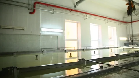 Cheese Rolls Factory Stock Footage 85755993