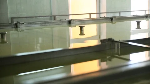 Cheese Rolls Factory Stock Footage 85755995
