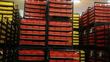 Cheese Rolls Factory Stock Footage 85756028