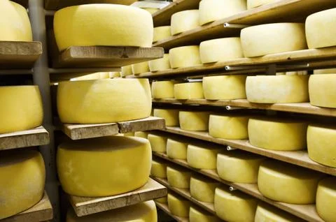 Cheese in shelf Stock Photos